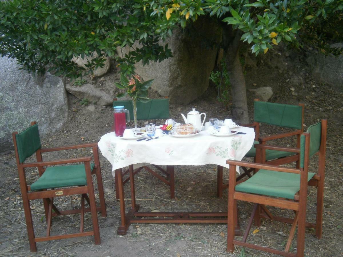 La Collina Dei Ciliegi Sarule Exterior foto