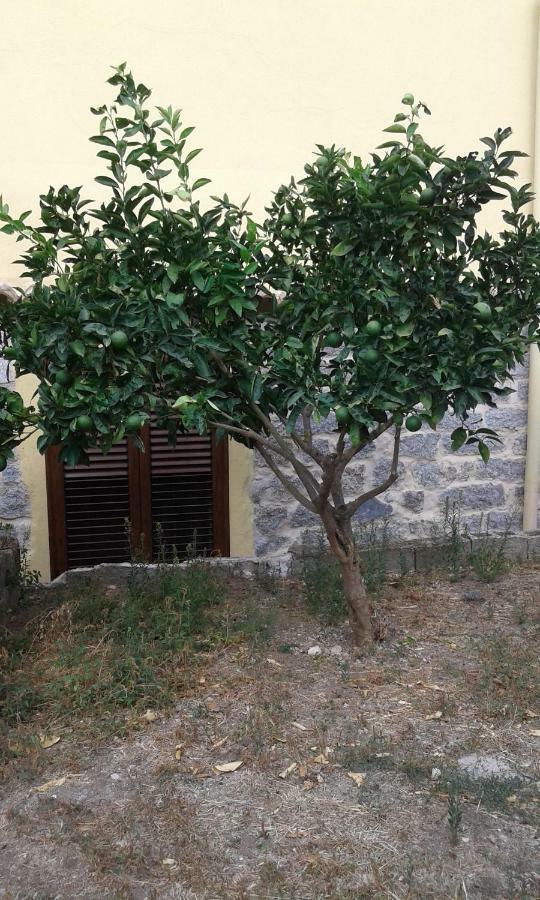 La Collina Dei Ciliegi Sarule Exterior foto